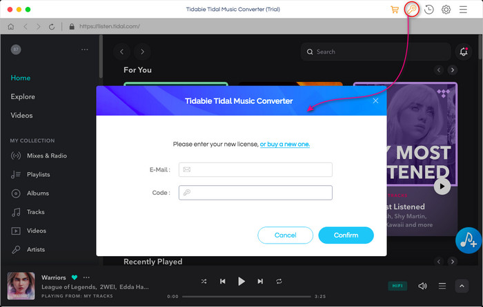 tidal login