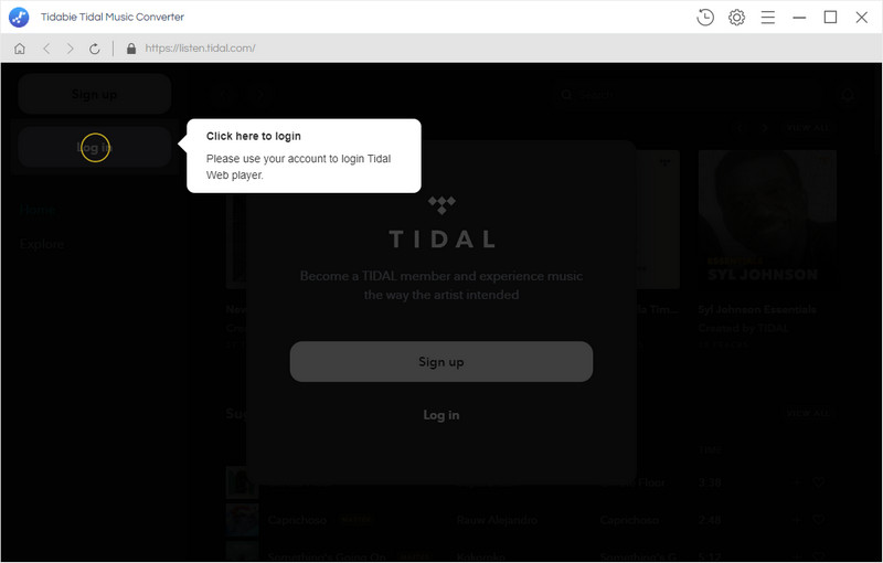 login to tidal web player