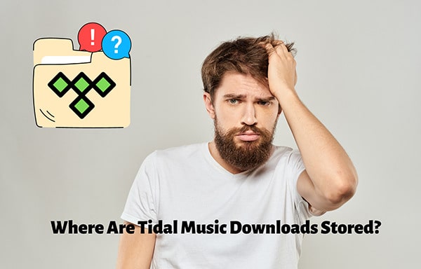 Wo werden Tidal-Musikdownloads gespeichert?